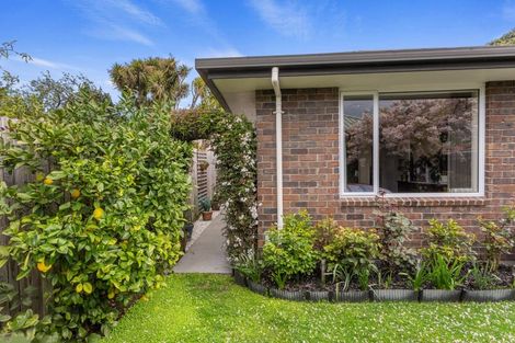Photo of property in 3/210 Hastings Street East, Waltham, Christchurch, 8023
