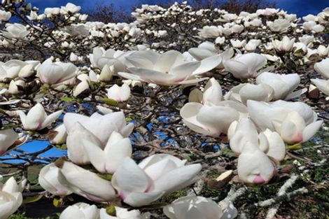 Photo of property in 376 Neudorf Road, Upper Moutere, 7175