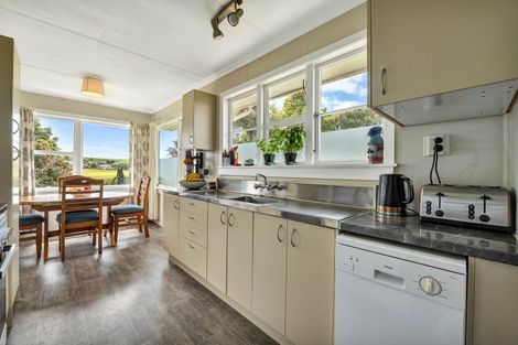 Photo of property in 100 Stanners Street, Eltham, 4322