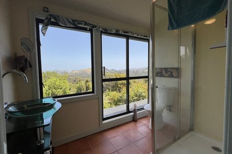 Photo of property in 800 Buffalo Road, Coromandel, 3506