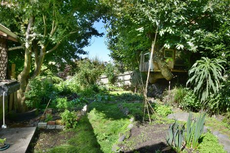 Photo of property in 49 Sutherland Street, Dunedin Central, Dunedin, 9016