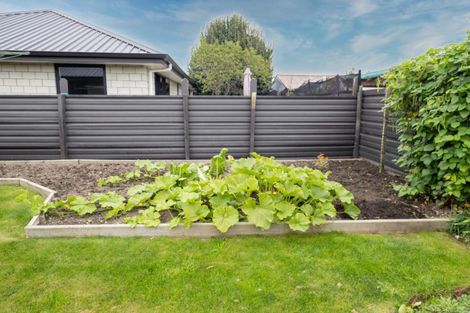 Photo of property in 21 Oxford Street, Hampstead, Ashburton, 7700