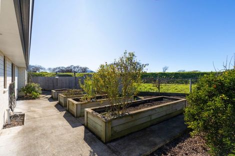 Photo of property in 22a Waipuna Street, Mayfield, Blenheim, 7201