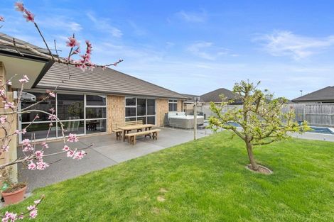 Photo of property in 15 Brad Avenue, Flagstaff, Hamilton, 3210