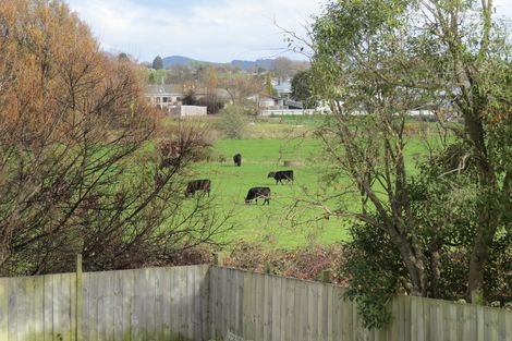 Photo of property in 440 Cambridge Road, Te Awamutu, 3800