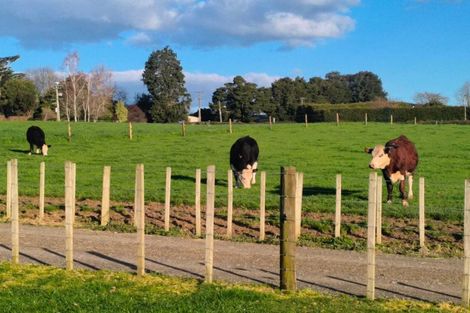 Photo of property in 418 Parklands Road, Rotoorangi, Te Awamutu, 3879