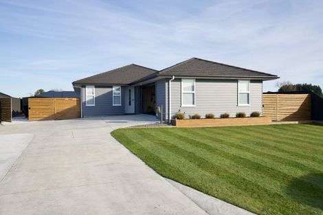 Photo of property in 27 George Street, Bulls, 4818