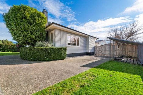 Photo of property in 11 Puriri Avenue, Te Puke, 3119