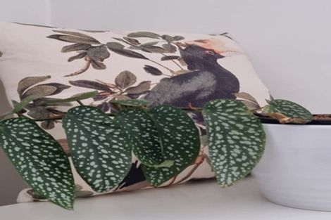 Photo of property in 3 Brown Grove, Fairfield, Lower Hutt, 5011