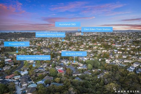 Photo of property in 18 Hydra Place, Glen Eden, Auckland, 0602