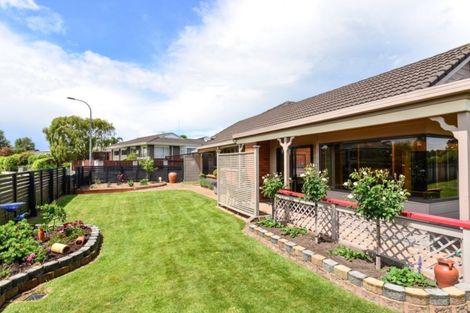 Photo of property in 15 Dallinger Street, St Andrews, Hamilton, 3200