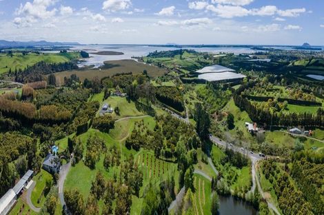 Photo of property in 1555c State Highway 2, Whakamarama, Katikati, 3181