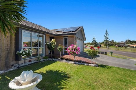 Photo of property in 40 Ocean View Road, Coastlands, Whakatane, 3120