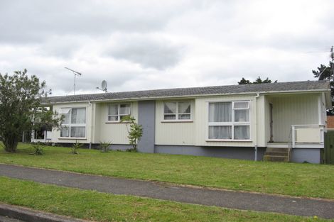 Photo of property in 1 Times Place, Pukekohe, 2120