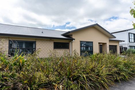 Photo of property in 8 Squire Avenue, Chartwell, Hamilton, 3210