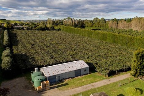 Photo of property in 39 Prole Road, Omokoroa, Tauranga, 3172