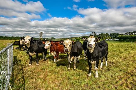 Photo of property in 106 Searles Road, Sheffield, 7580