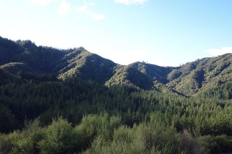 Photo of property in 1677 Takaputahi Road, Toatoa, Opotiki, 3197