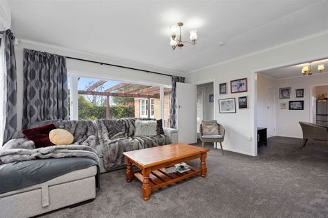 Photo of property in 22 Hall Road, Matua, Tauranga, 3110