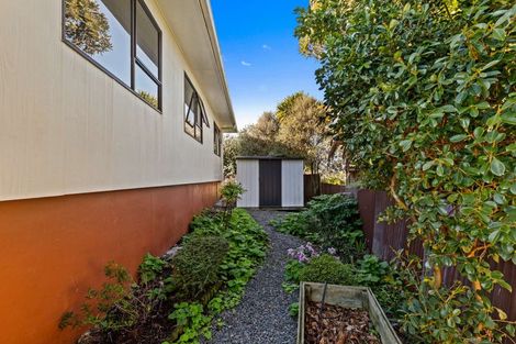 Photo of property in 19c Fergusson Street, Springvale, Whanganui, 4501