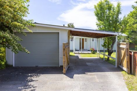 Photo of property in 41 Te Rangitautahanga Road, Turangi, 3334