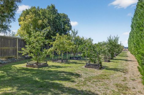 Photo of property in 509 Downs Road, Eyrewell, Rangiora, 7476