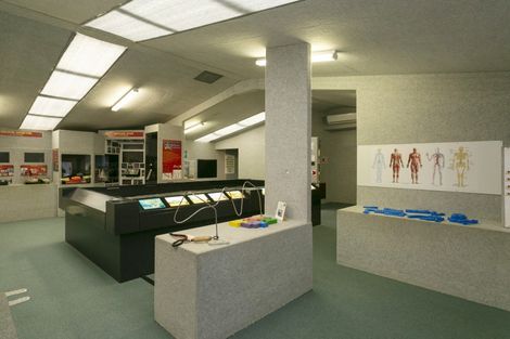 Photo of property in 8 Palmer Mill Road, Wairakei, Taupo, 3384