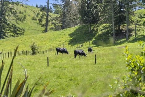 Photo of property in 145 Peers Road, Omanawa, Tauranga, 3171