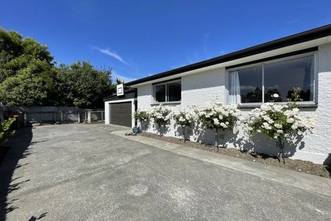 Photo of property in 19 Grange Street, Winton, 9720