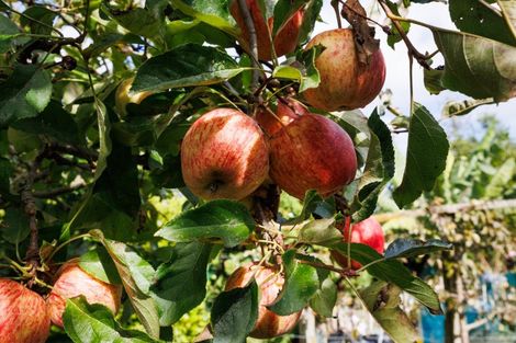 Photo of property in 1233 Makino Road, Halcombe, Feilding, 4777