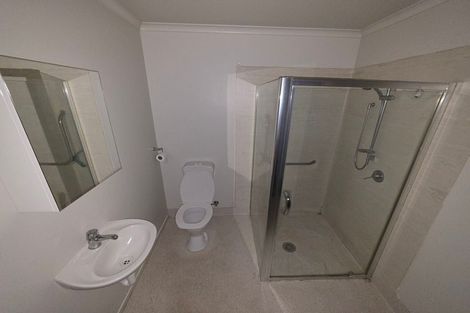 Photo of property in 62 Willoughby Street, Whitiora, Hamilton, 3200