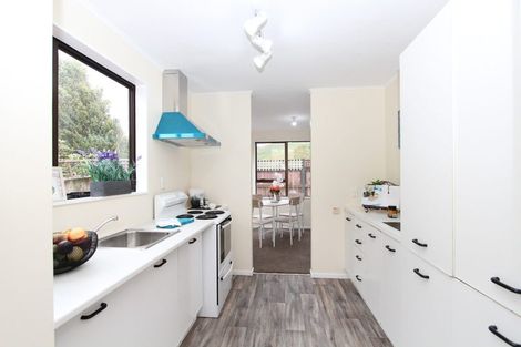 Photo of property in 297 Mitchell Street, Brooklyn, Wellington, 6021