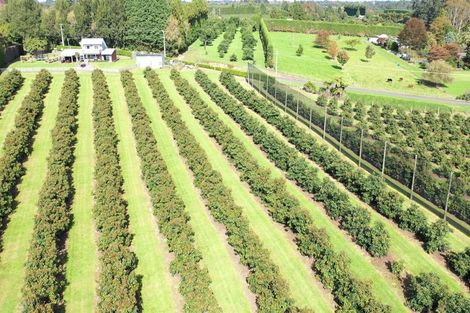 Photo of property in 14 Merrick Road, Pyes Pa, Tauranga, 3173