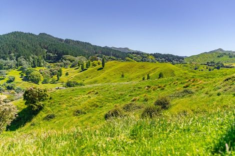 Photo of property in 171 Darwin Road, Outer Kaiti, Gisborne, 4010