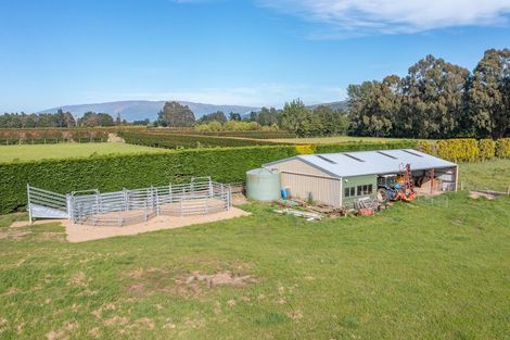 Photo of property in 56 Dukes Road South, Mosgiel, 9092