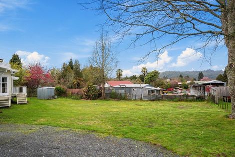 Photo of property in 23 Owhango Road, Owhango, 3990
