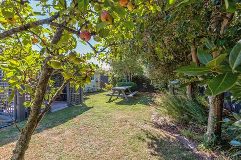 Photo of property in 34 Florence Avenue, Palmerston North, 4414