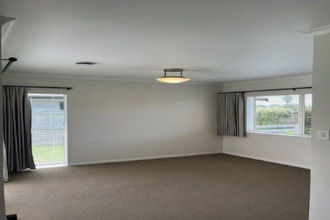 Photo of property in 73 Solomon Street, Brookfield, Tauranga, 3110