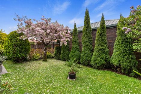 Photo of property in 3/210 Hastings Street East, Waltham, Christchurch, 8023