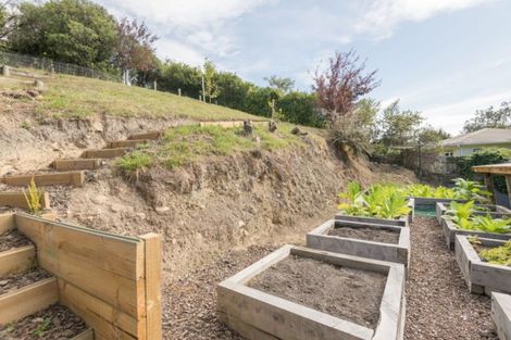 Photo of property in 20 Thompson Terrace, Toi Toi, Nelson, 7010