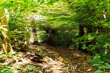 Photo of property in 21 Ngatoto Road, Tinopai, Matakohe, 0593