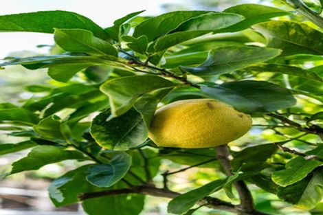 Photo of property in 230b Rangi Avenue, Whangamata, 3620