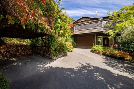 Photo of property in 5 Allan Street, Nelson South, Nelson, 7010