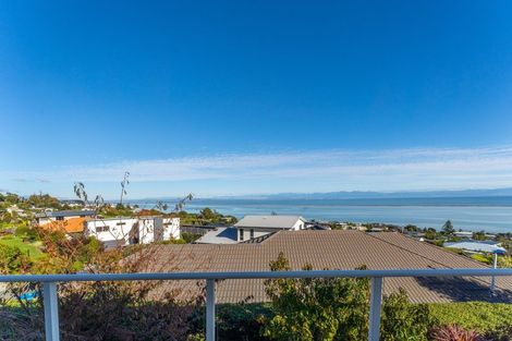 Photo of property in 50 Tresillian Avenue, Marybank, Nelson, 7010