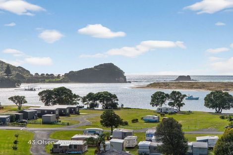 Photo of property in 43 Olsen Avenue, Mangawhai Heads, Mangawhai, 0505