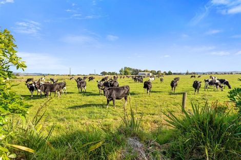 Photo of property in 117 Robertson Road, Ruawai, 0591