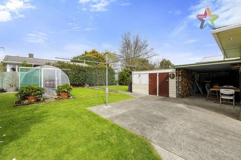 Photo of property in 72 Tiro Tiro Road, Levin, 5510