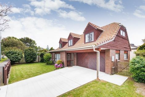 Photo of property in 483b Ruahine Street, Terrace End, Palmerston North, 4410