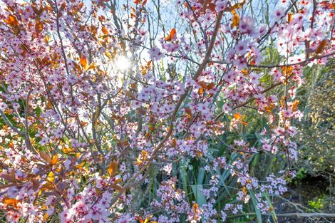 Photo of property in 258 Loburn Kowai Road, Loburn, Rangiora, 7472