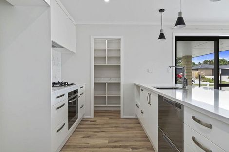 Photo of property in 40 Murray Ward Drive, Te Kauwhata, 3710